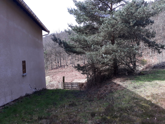FERME SUR 2.9 HECTARES FERME SUR 2.9 HECTARES