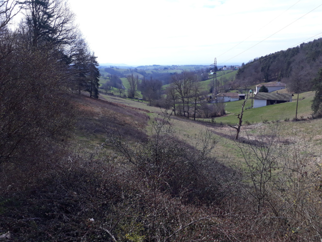 FERME SUR 2.9 HECTARES