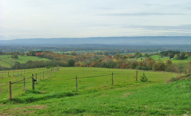 ECURIE DES MONTS D'OR