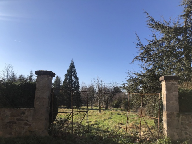 RARE GRANDES PARCELLES VIABILISEES ARBOREES PRES FEURS RARE GRANDES PARCELLES VIABILISEES ARBOREES PRES FEURS