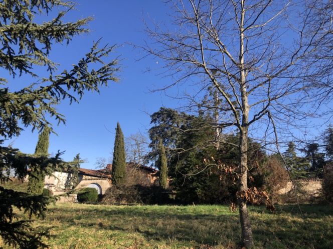 RARE GRANDES PARCELLES VIABILISEES ARBOREES PRES FEURS RARE GRANDES PARCELLES VIABILISEES ARBOREES PRES FEURS