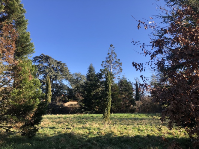 RARE GRANDES PARCELLES VIABILISEES ARBOREES PRES FEURS RARE GRANDES PARCELLES VIABILISEES ARBOREES PRES FEURS