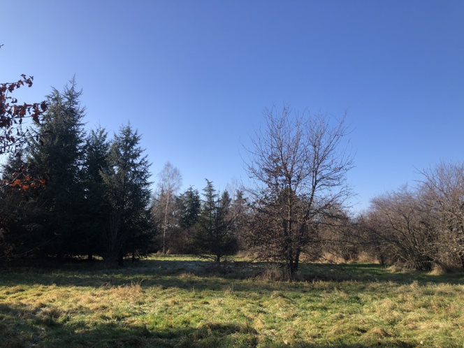 RARE GRANDES PARCELLES VIABILISEES ARBOREES PRES FEURS RARE GRANDES PARCELLES VIABILISEES ARBOREES PRES FEURS