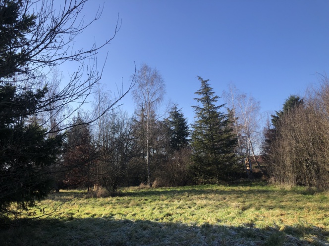 RARE GRANDES PARCELLES VIABILISEES ARBOREES PRES FEURS RARE GRANDES PARCELLES VIABILISEES ARBOREES PRES FEURS