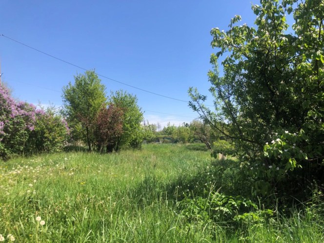 11385 BALBIGNY MAISON AVEC TRAVAUX SUR 1 HECTARE//  VENDUE AU PRIX