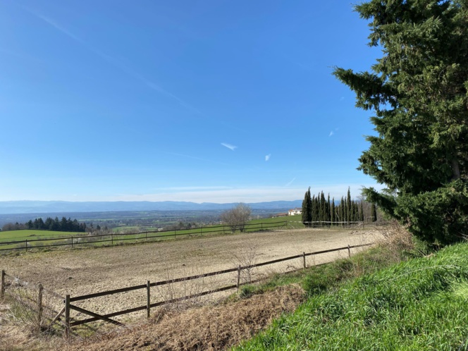 1205  HAUT DE FEURS FERME EQUESTRE 23Ha VUE CALME