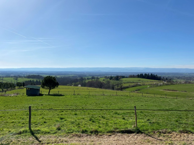 1205  HAUT DE FEURS FERME EQUESTRE 23Ha VUE CALME