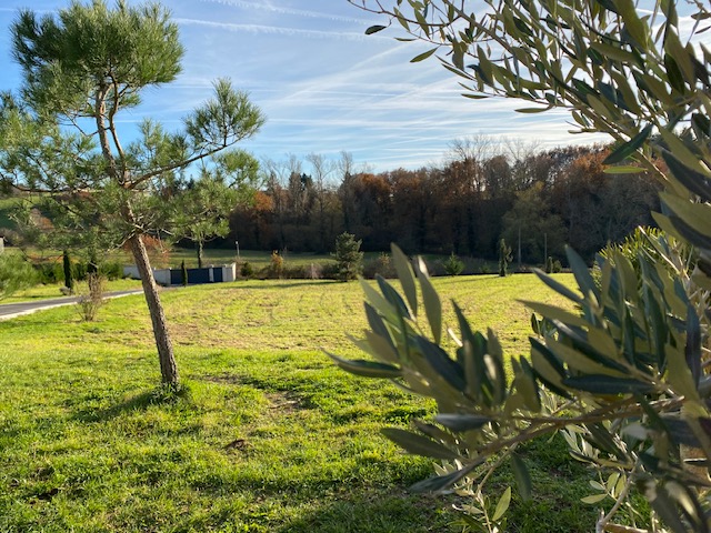 1388 GRANDE VILLA LUMINEUSE SUR 1 Ha 1388 GRANDE VILLA LUMINEUSE SUR 1 Ha