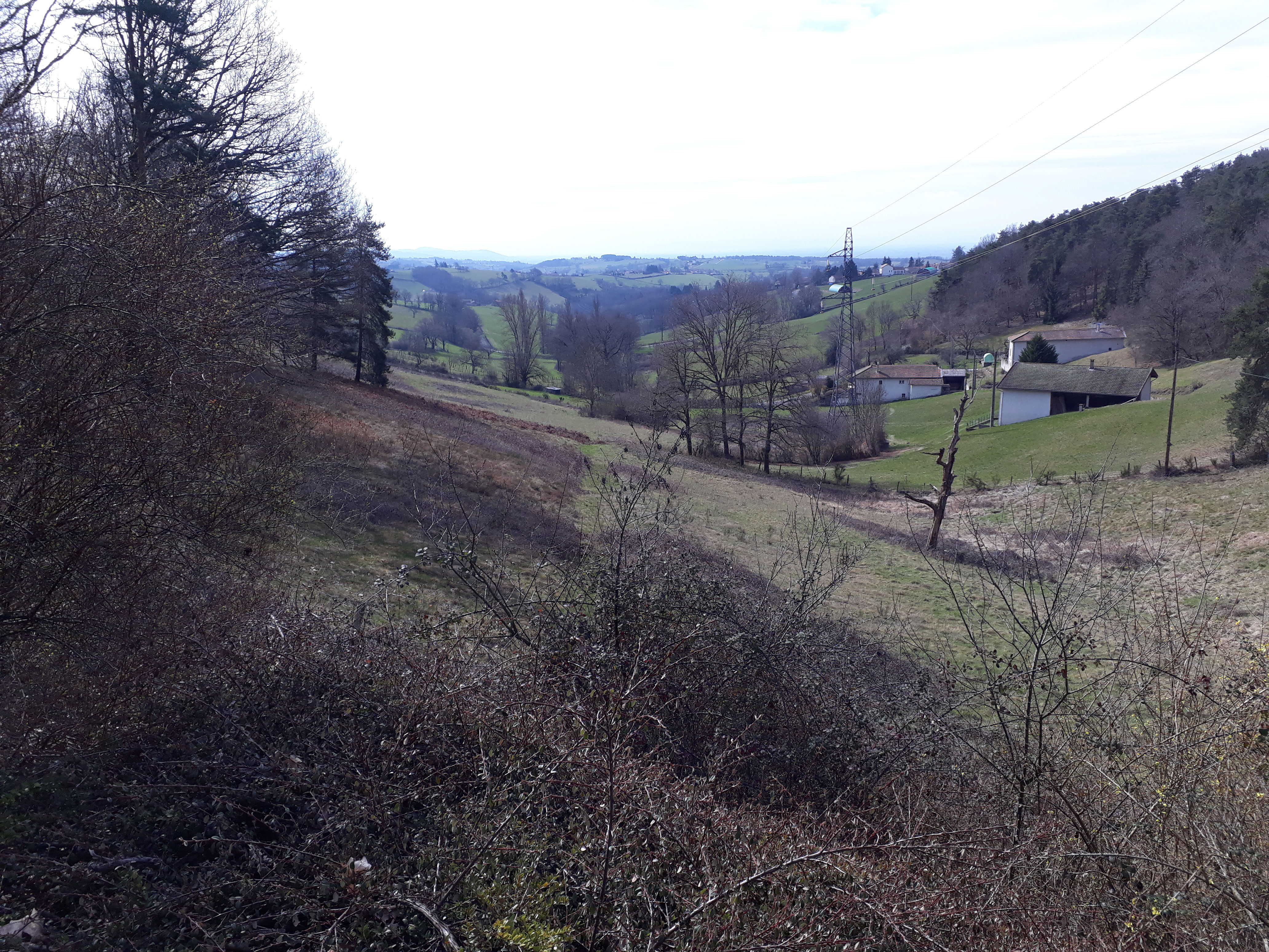 FERME SUR 2.9 HECTARES