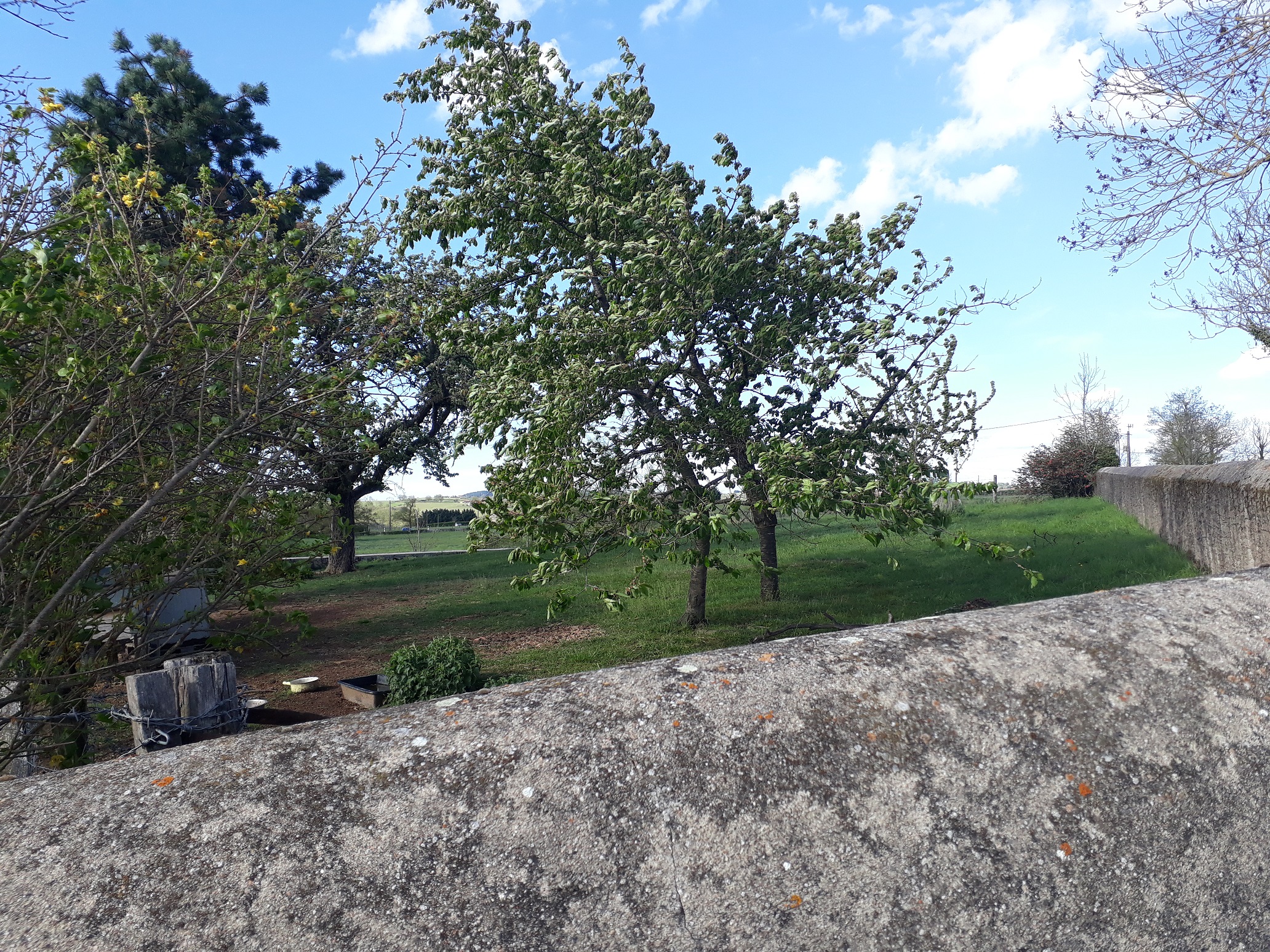 11369 BALBIGNY FERME RENOVEE  A89/A72 11369 BALBIGNY FERME RENOVEE  A89/A72