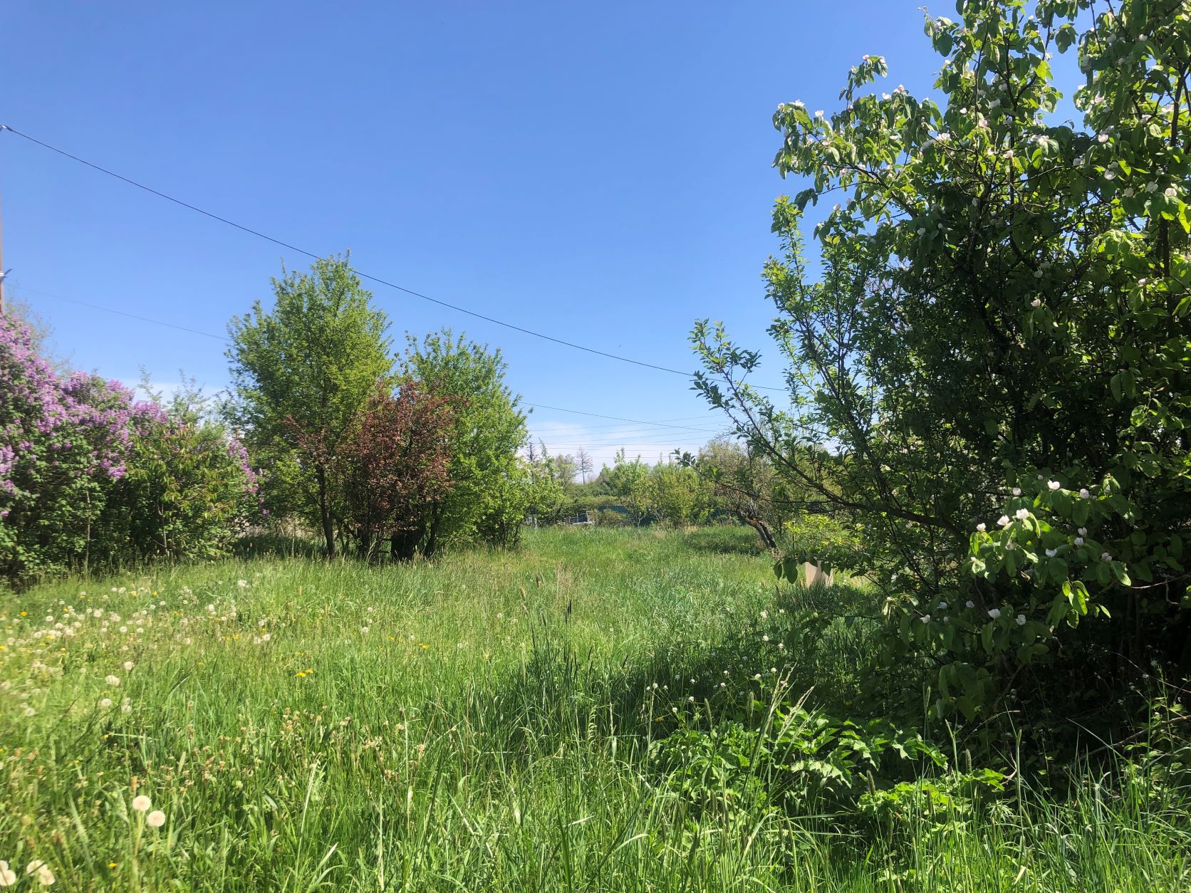 11385 BALBIGNY MAISON AVEC TRAVAUX SUR 1 HECTARE//  VENDUE AU PRIX