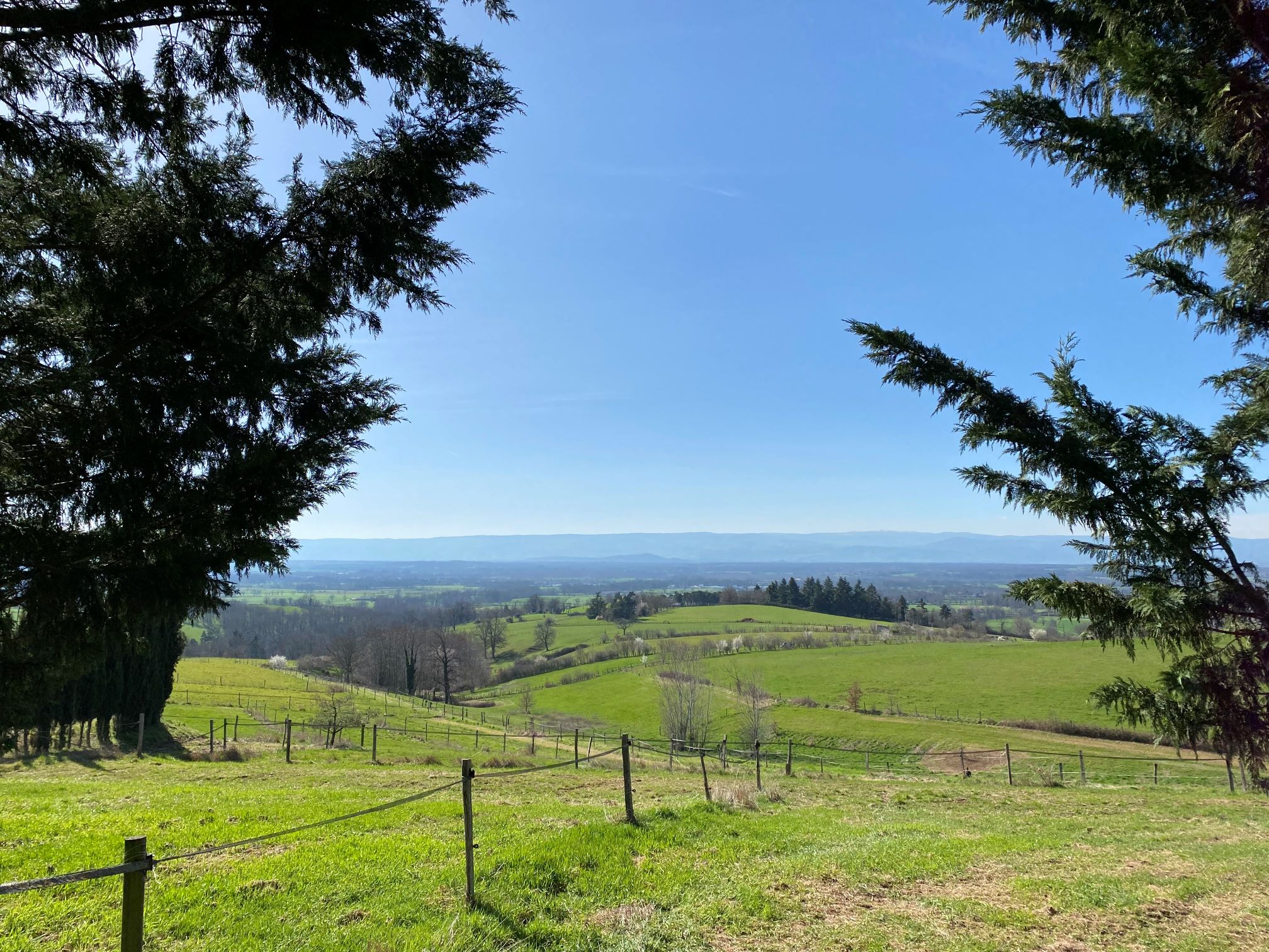 1205  HAUT DE FEURS FERME EQUESTRE 23Ha VUE CALME